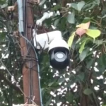 hindi-news-12.webp.webp