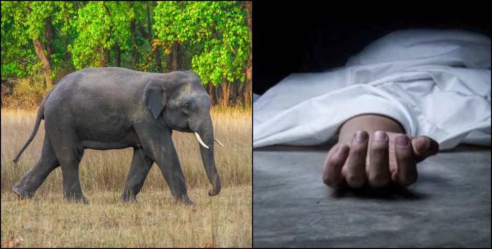 hindi-news-25.jpg