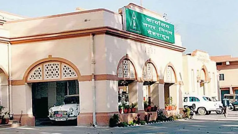 hindi-news-6.webp.webp
